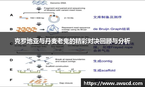 克罗地亚与丹麦老鬼的精彩对决回顾与分析