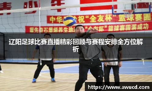 辽阳足球比赛直播精彩回顾与赛程安排全方位解析