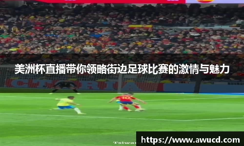 美洲杯直播带你领略街边足球比赛的激情与魅力