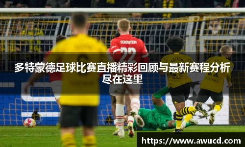 多特蒙德足球比赛直播精彩回顾与最新赛程分析尽在这里