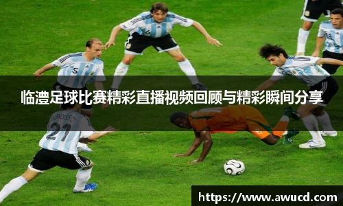 临澧足球比赛精彩直播视频回顾与精彩瞬间分享