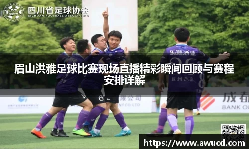 眉山洪雅足球比赛现场直播精彩瞬间回顾与赛程安排详解