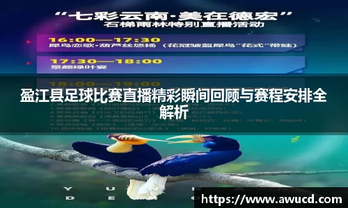 芒果体育APP
