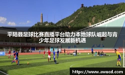 平陆县足球比赛直播平台助力本地球队崛起与青少年足球发展新机遇