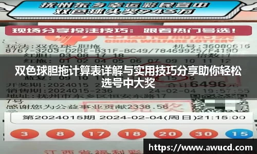 双色球胆拖计算表详解与实用技巧分享助你轻松选号中大奖