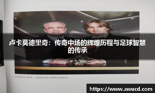 芒果体育官网