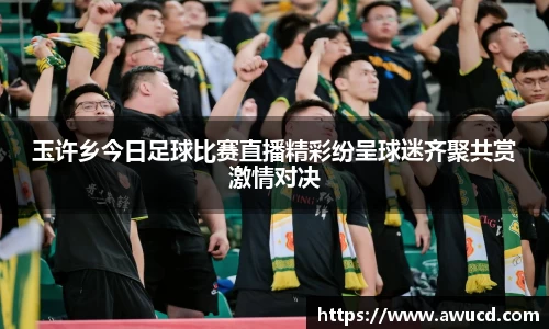 玉许乡今日足球比赛直播精彩纷呈球迷齐聚共赏激情对决